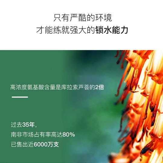 Yzak Weihui Sudáfrica Importado Aloe Vera Gel Camino de cuidado de la piel después de la luz solar Nun Rehidratación de hombres
