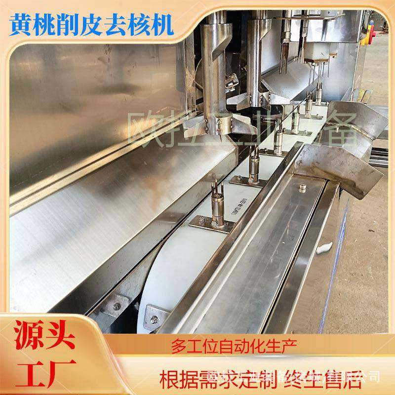 全自动去核加工生产线商用雪梨去皮去核分瓣机柠檬削皮设备,淘宝优惠券,粉丝福利购,淘宝优惠卷
