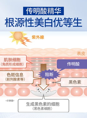 传皙诺美白祛斑修护面霜