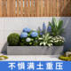 Rectangular cement planting box outdoor courtyard large flower trough flower pot landscaping sturdy and durable factory direct sales