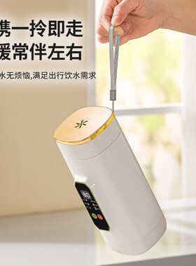 Portable Electric Heating Cup Insulated Temperature Control