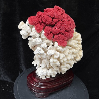 鸿运当头仿真珊瑚石矿石标本客厅玄关办公室工艺品摆件珊瑚树造型