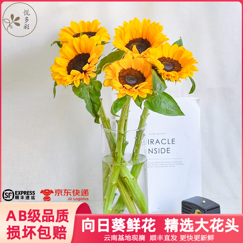 悦多彩AB级向日葵客厅瓶插花