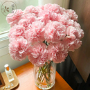 云南直发！悦多彩多头康乃馨鲜花10支