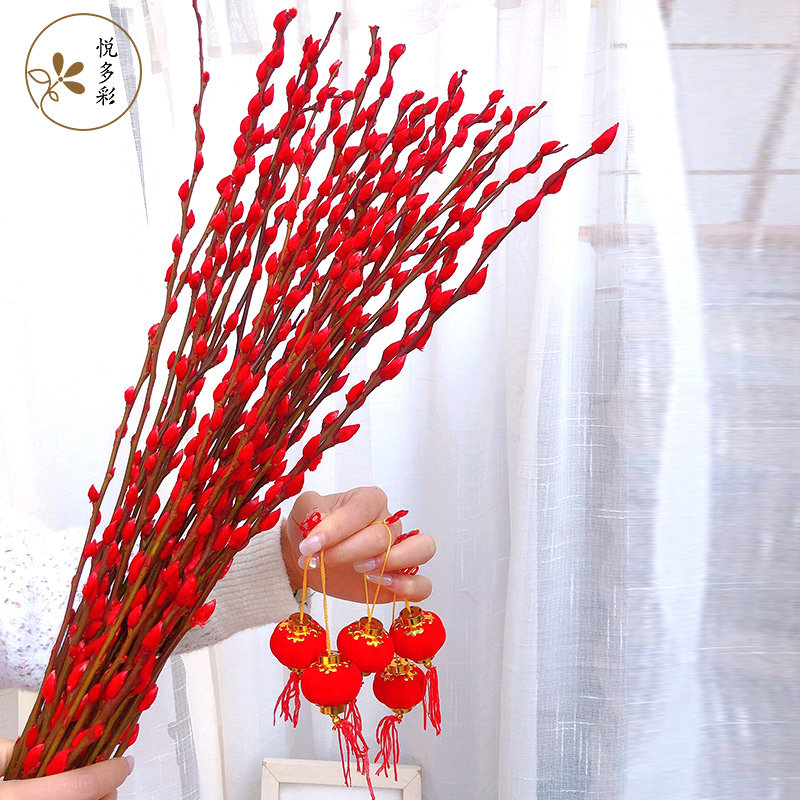 悦多彩A级招财银柳真花鲜枝年宵花卉染红色银柳花束室内客厅摆件