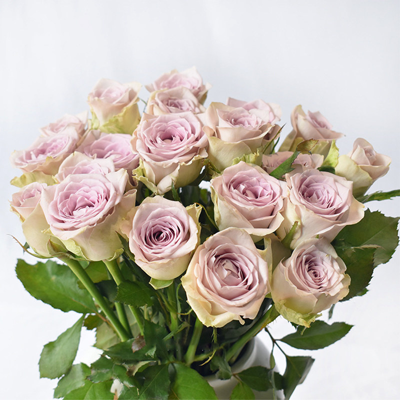 悦多彩AB级多头玫瑰花 昆明直发顺丰包邮 情人节礼物水养插鲜切花