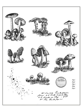 2022 New Poisonous Mushrooms Clear Silicone Stamp for DIY跨