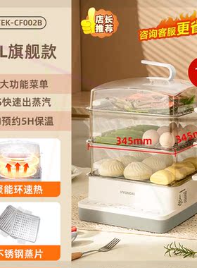 电蒸锅多功能家用三层早餐机蒸煮 炖一体小型多层2023新款