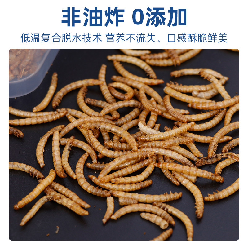 仓鼠粮食零食面包虫干黄粉虫干金丝熊孕期营养零食大礼包刺猬食物,淘宝优惠券,粉丝福利购,淘宝优惠卷
