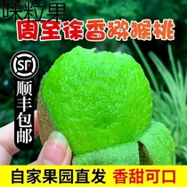 Shaanxi eyebrow county Xu Xiangqi Exotic Fruits Fresh Spring Fruit Authentic pregnant woman mud Memery Peach Chic Exotic Fruits Air