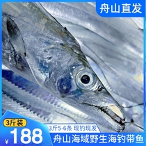 Boat Mountain sea fishing with fish whole fishing belt oil with small eyes East China Sea Fresh live frozen knife fish seafood Deep sea fish
