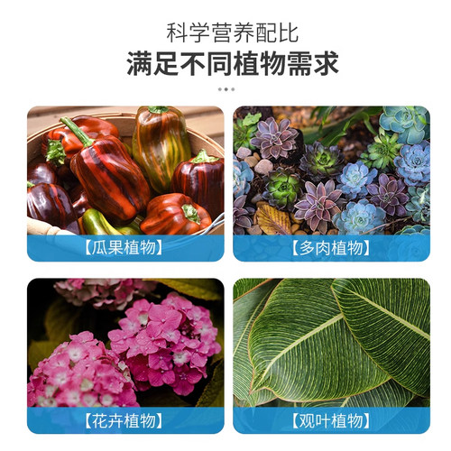 花多多1号2号12号通用型肥料花朵朵一号二号月季多肉水溶肥促开花 - 图2