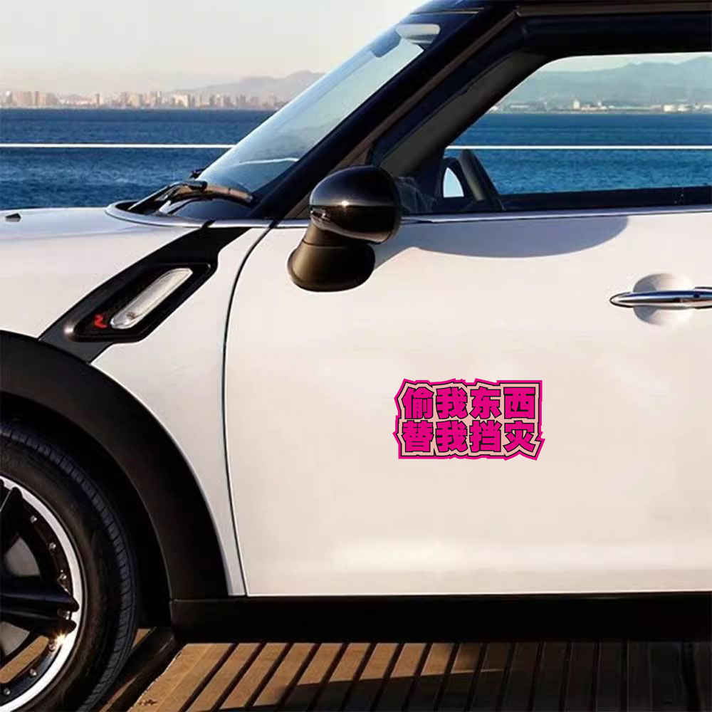 偷我东西替我挡灾贴纸汽车摩托车恶搞车贴电动车个性创意警示贴花 - 图3