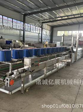 全自动小黄鱼海鲜油炸线 薯片果蔬脆油炸  商用大型油炸流水线