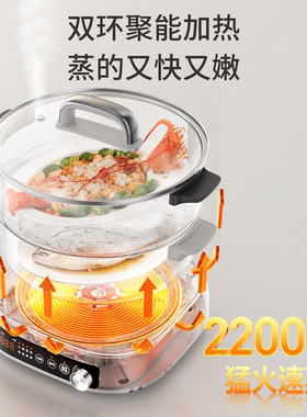九阳不锈钢电蒸锅多功能2200W