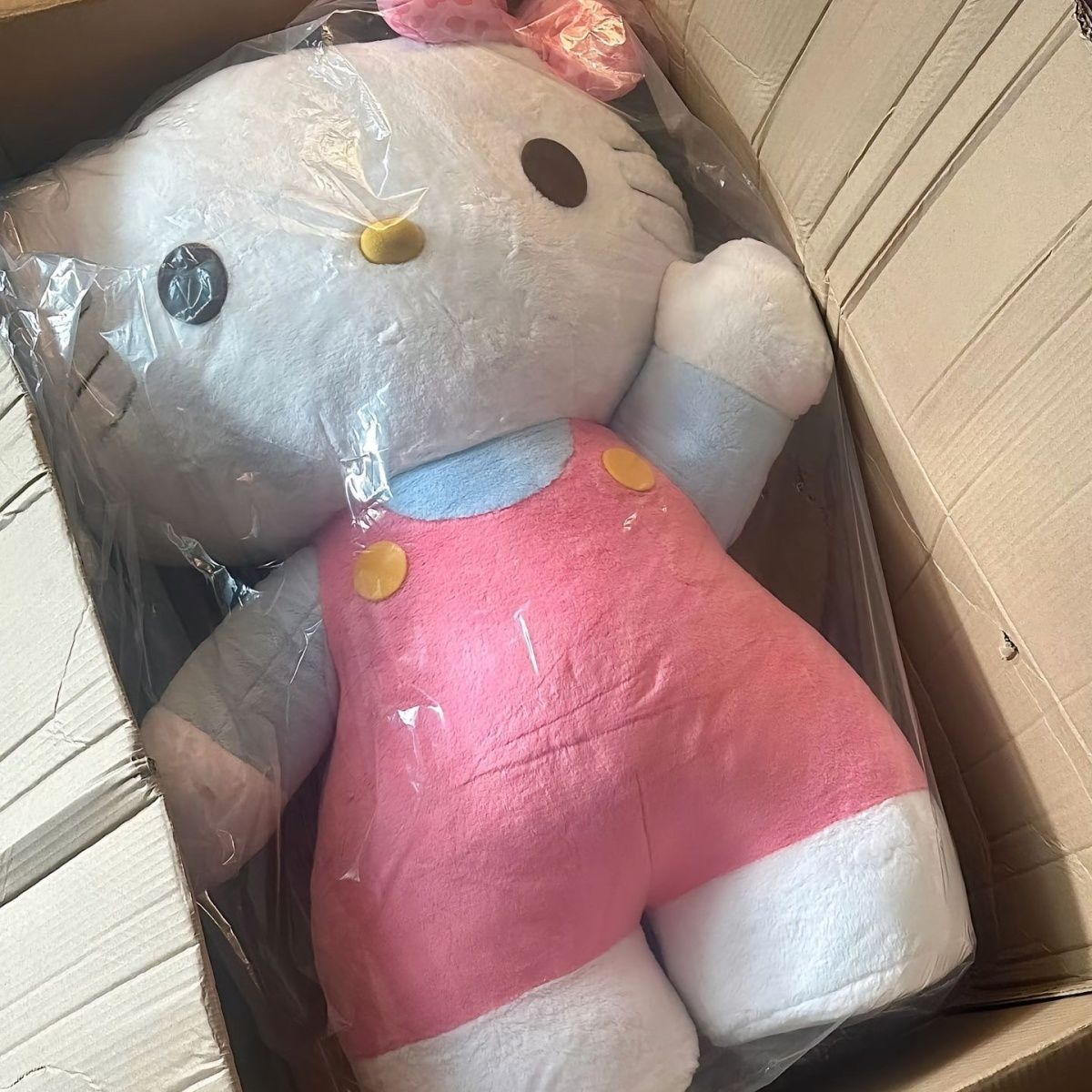 站版hellokitty公仔毛绒玩具哈喽kt凯蒂猫玩偶520毕业女生日礼物 - 图0