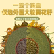 Mengxin melon seeds original flavor 500g bagged Inner Mongolia sunflower seeds