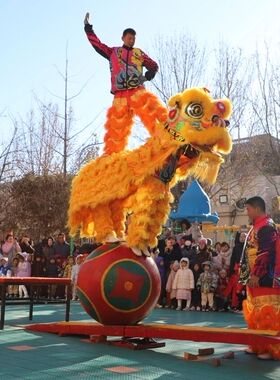 河北衡水舞狮衡水开业舞狮婚礼舞狮庆典舞狮祝寿舞狮婚庆舞狮舞龙
