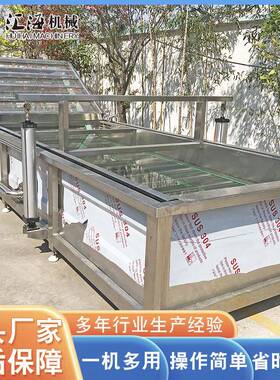 供应桃子气泡清洗机 不锈钢辣椒清洗机 桑葚清洗机设备 厂家供应
