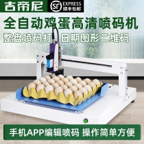 Full Automatic Eggs Special Spray Code Machine Beats Production Date Batch Number Graphics Logo Assembly Line Online Style Words Small Desktop Egg Ink Shelf Life Eggs Duck Egg Dove Egg Dodter