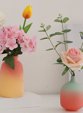 陶瓷花瓶设计感小众干花假花仿真花客厅摆设电视柜家居摆件高级感