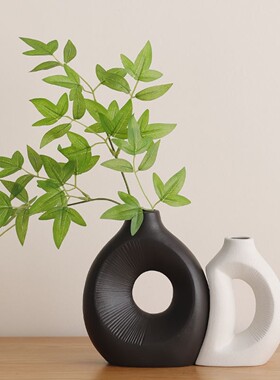 北欧陶瓷花瓶摆件轻奢高级感入户门玄关摆设客厅电视柜艺术装饰品