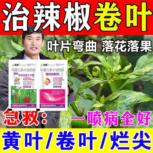 Вирус вируса чили Специальное лекарство от кудри для удобрений перца, заболевание листьев, заболевание гниля листьев, болезнь чили, заболевание чили