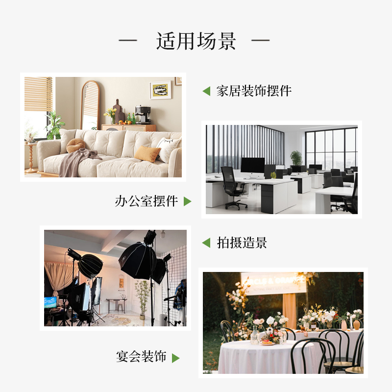 黄杨藤条永生花干花花束客厅办公室仿真花桌面永生绿植装饰小摆件 - 图2