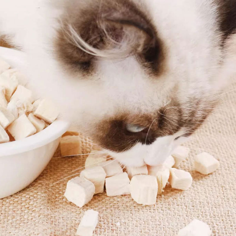 猫零食鸡肉粒冻干片猫粮小猫冻干片零食猫冻干零食鸡胸肉宠物零食,淘宝优惠券,粉丝福利购,淘宝优惠卷