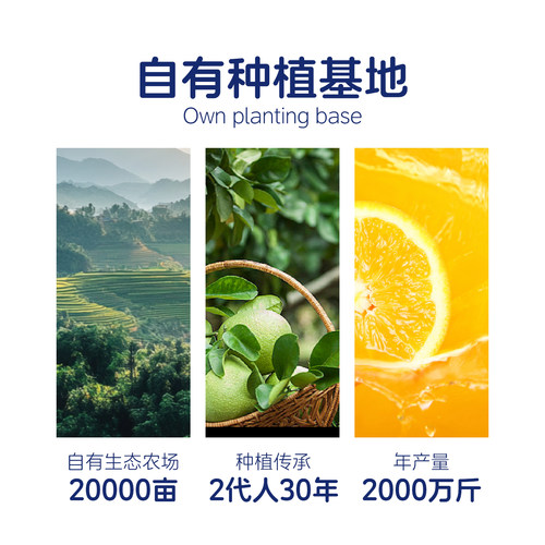 衢香源双柚汁【15瓶】鲜榨果汁解渴饮料柚子汁饮品葡萄柚维C饮料 - 图2