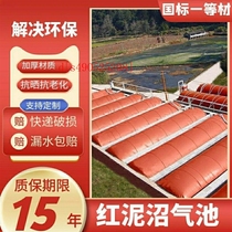 Biogas plant complete equipment Home New rural farm Pig Farm Biogas Storage Airbags Red Mud Software Biogas Manufacturer