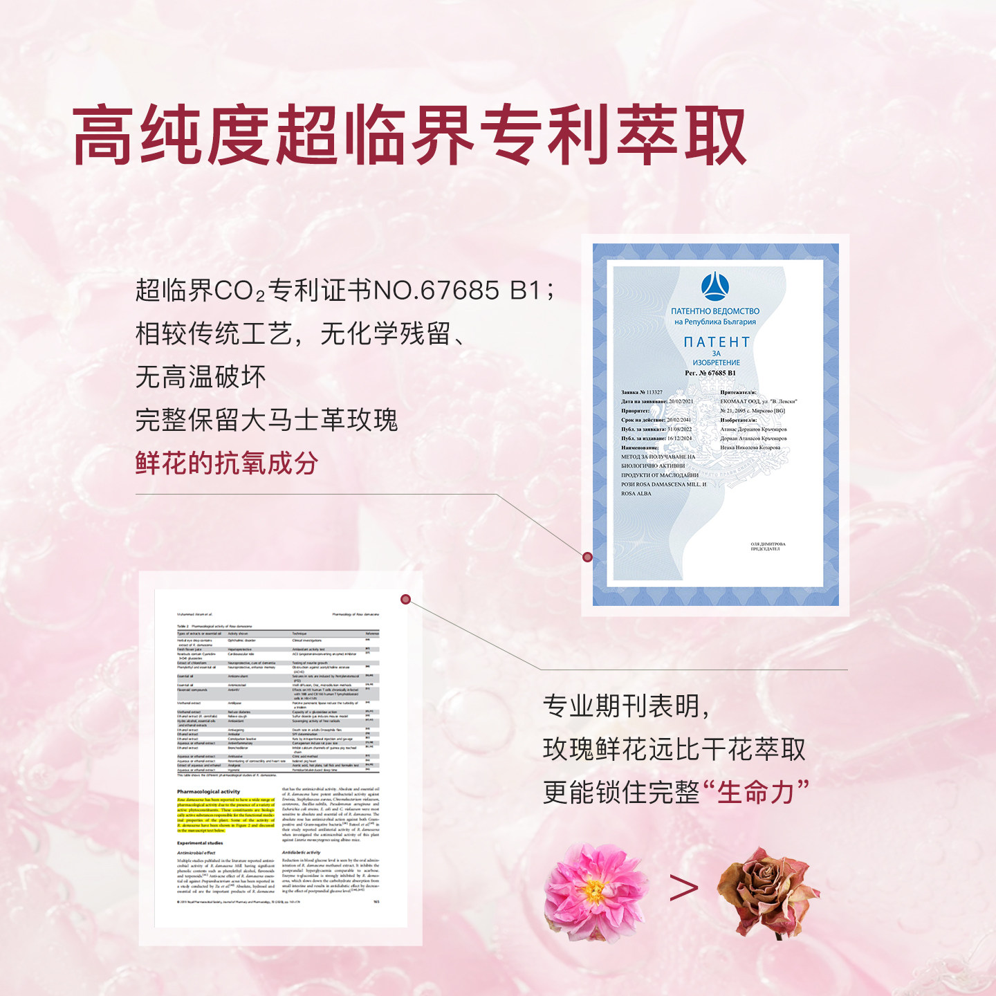 ECOMAAT伊可茉玫瑰露口服美容亮白饮内服全身内调抗氧化抵御老化