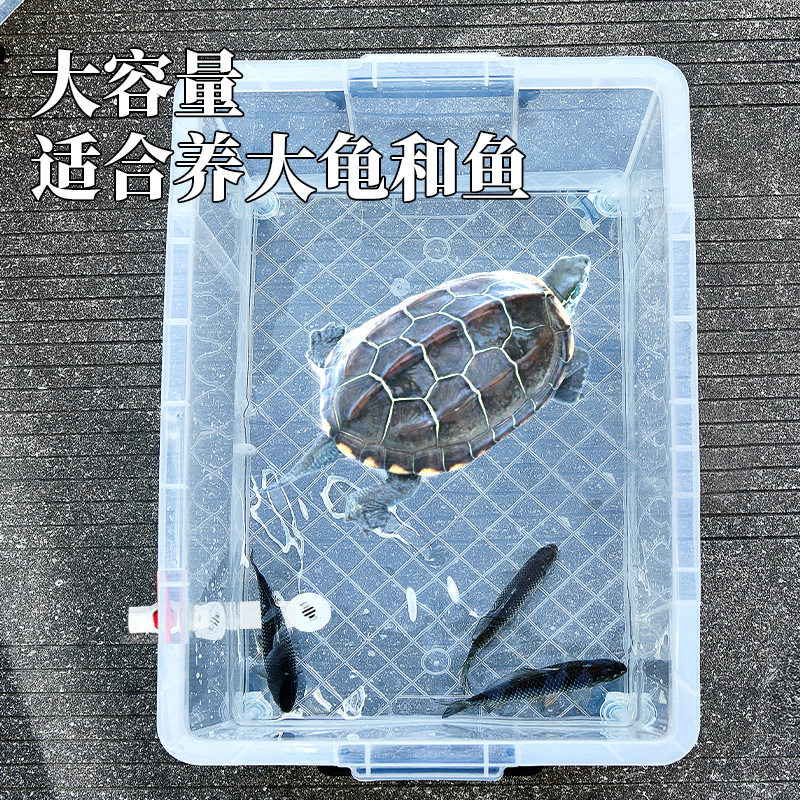 宠物龟乌龟缸专用箱迷你特大号龟缸水位房子小型饲养晒台容器造景,淘宝优惠券,粉丝福利购,淘宝优惠卷