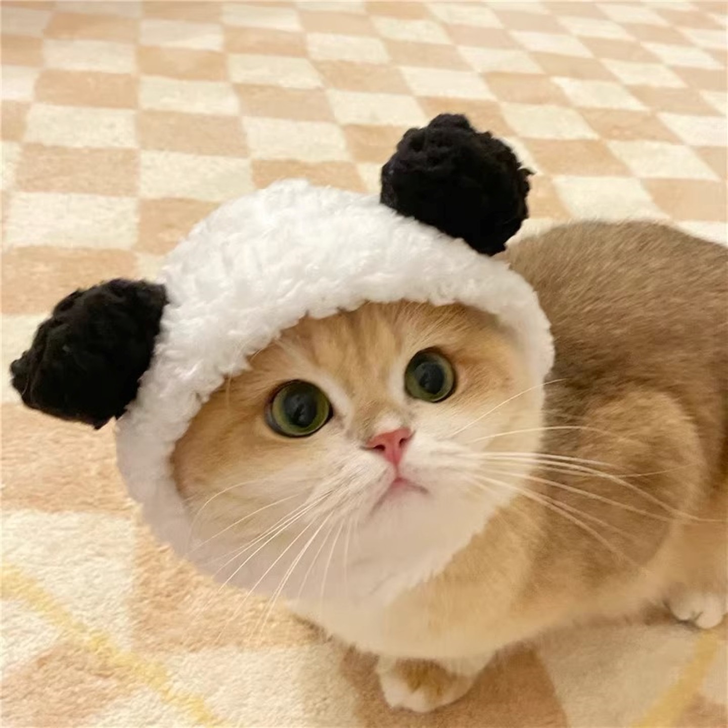 猫咪小熊猫头套可爱变装狗狗兔子头套卡通萌宠物拍照头饰帽子饰品,淘宝优惠券,粉丝福利购,淘宝优惠卷