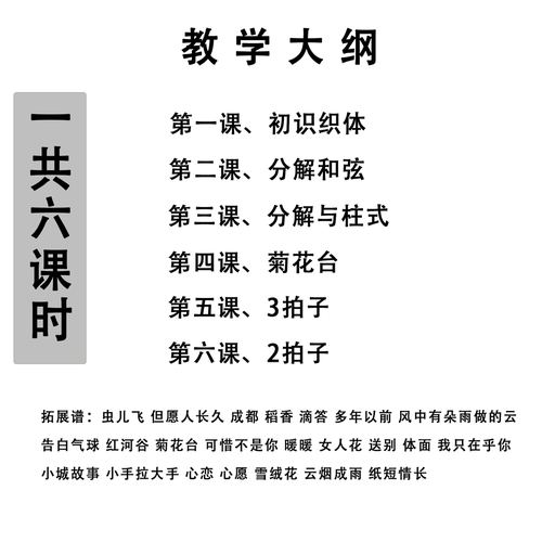 莱雅琴教程全家桶包含5套教程全部零基础双手指法伴奏带弹唱-图0