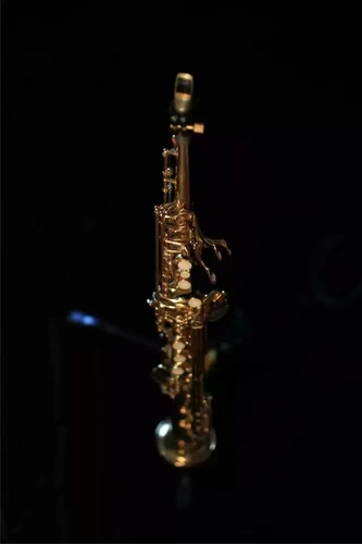 Шанхайский саксофон арендует Shanghai Saxus Leasing Mesday Monthful Основной момент Sakura Sakas Ежегодная конференция