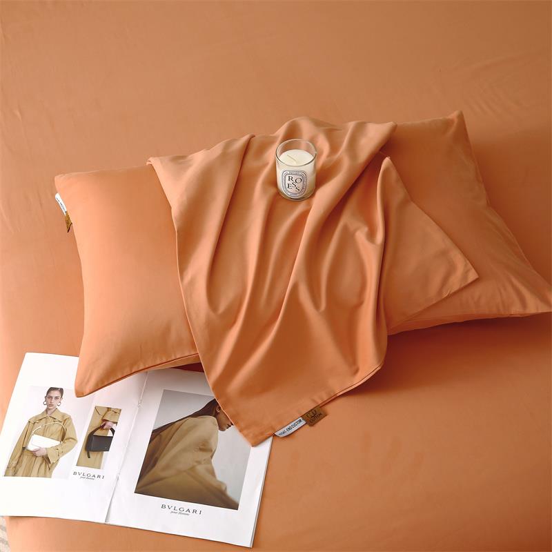 A类纯色加厚磨毛纯棉枕套一对装全棉枕头套家用48x74cm枕芯内胆套 - 图3