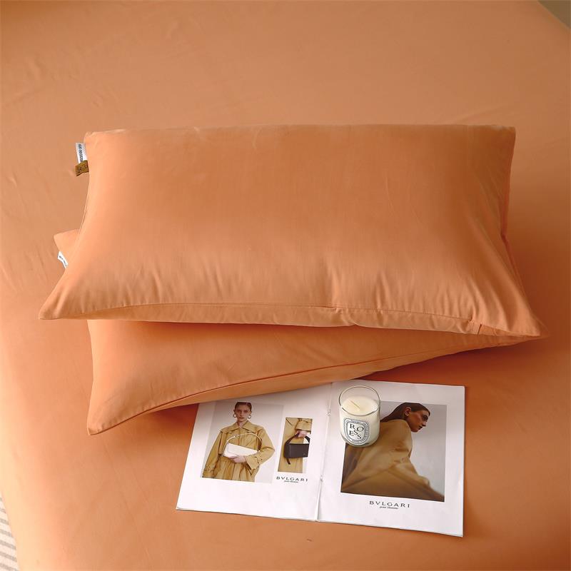 A类纯色加厚磨毛纯棉枕套一对装全棉枕头套家用48x74cm枕芯内胆套 - 图2