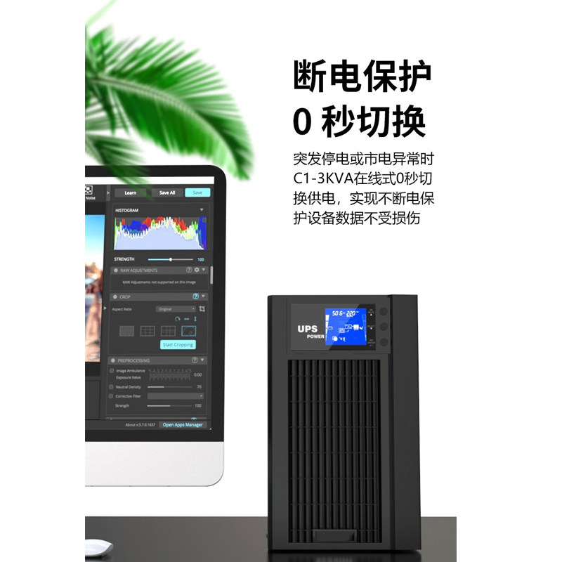 服务器电脑 C1KS 在线式UPS不间断电源1KVA800W延时9小时套餐