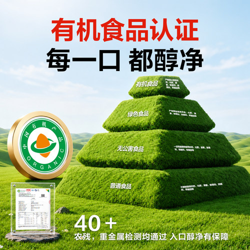 贝贝哩有机番茄酱无添加盐小包装儿童送专用宝宝婴幼儿番茄酱食谱 - 图0