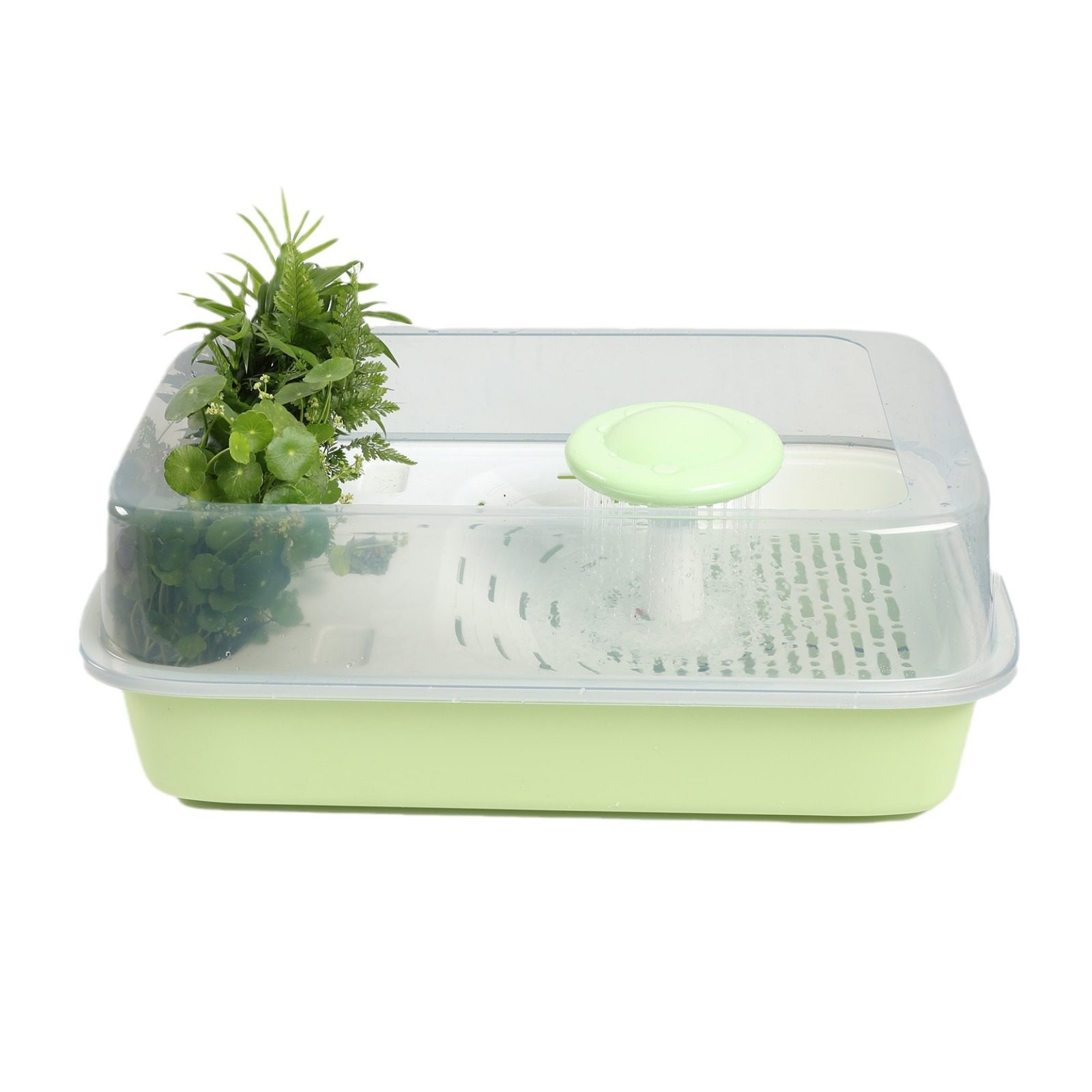 桌面龟缸新款迷你龟专用乌龟缸水族箱造景鱼缸饲养宠物养龟盒容器,淘宝优惠券,粉丝福利购,淘宝优惠卷