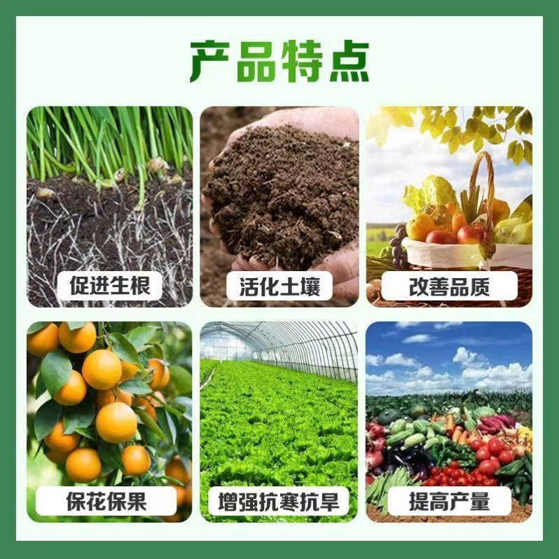 【特质骨粉】生根壮苗高磷高钙促花促果脱脂脱盐养花肥植物通用型 - 图2