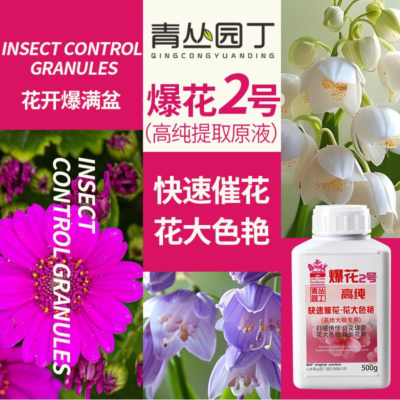 青丛园丁爆花粉2号开花促进花芽分化快速开花花大色艳开花粉通用 - 图3