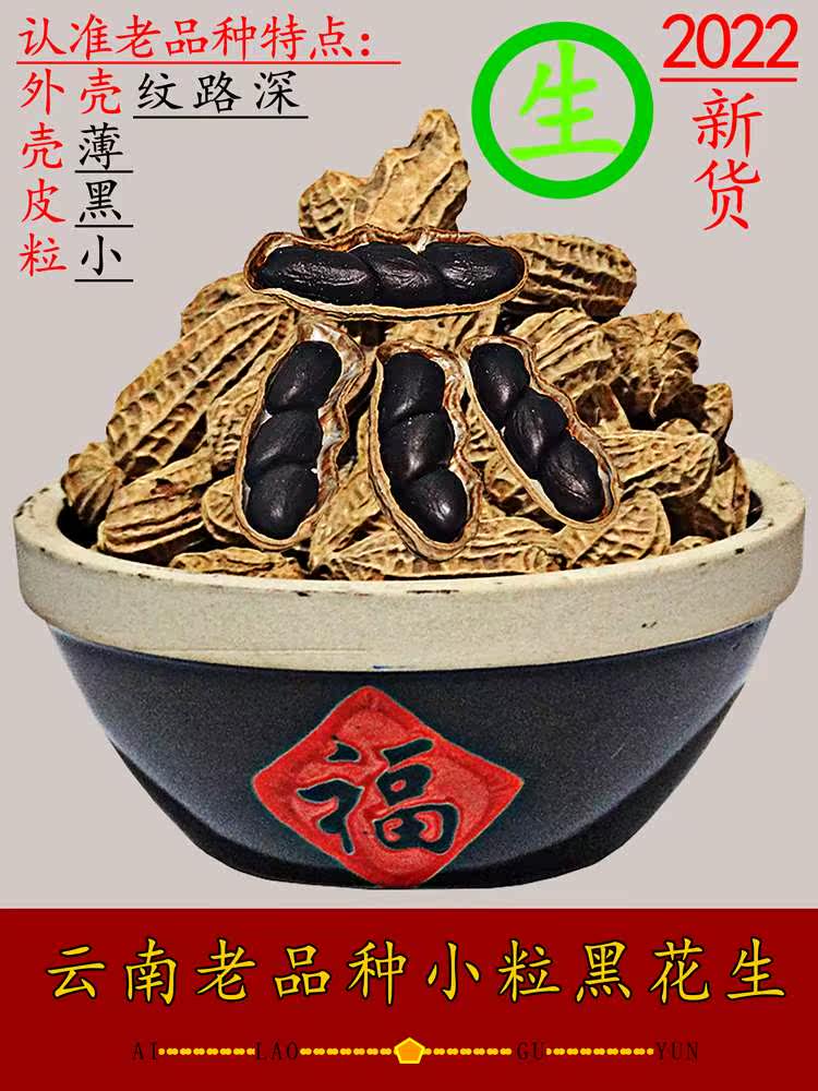 2022普洱特产生花生新货袋装味甜黑皮农产品富硒500g黑花生米带壳