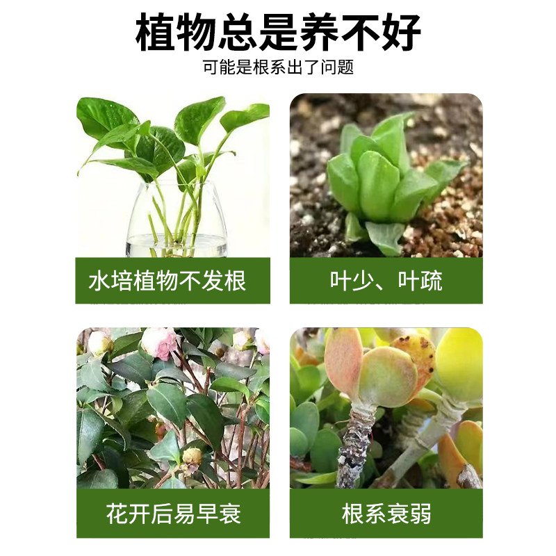 八个老头强力生根粉剂植物通用营养液多肉绿萝花卉扦插壮苗粉剂,淘宝优惠券,粉丝福利购,淘宝优惠卷