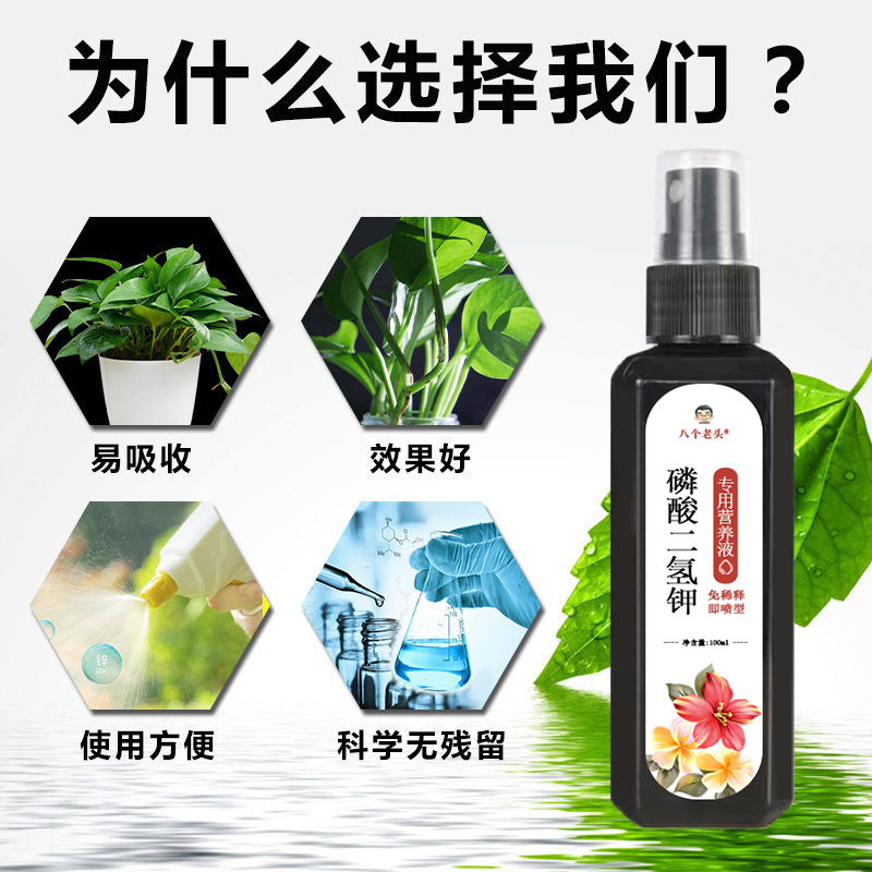 八个老头磷酸二氢钾花卉植物营养液养花多肉绿萝促花促果壮根液体 - 图2