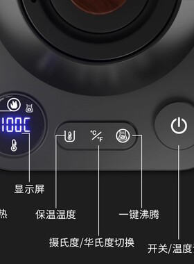 110V220V恒温手冲壶电热水壶
