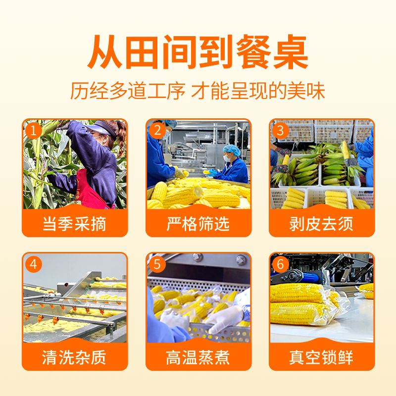 东方甄选黄糯玉米真空包装袋装东北粘玉米棒早餐速食非即食食品