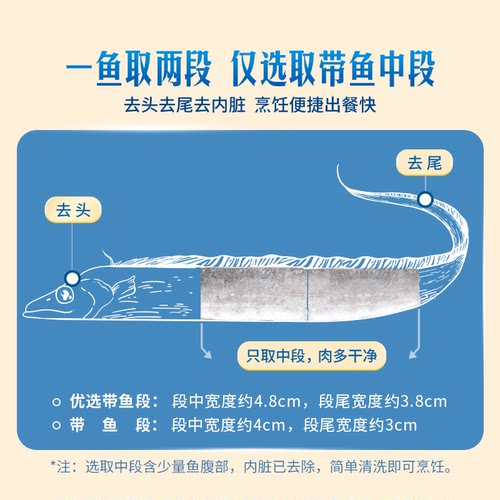 东方甄选带鱼段新鲜冷冻中段东海海鲜鱼块水产深海鱼生鲜食品 - 图0