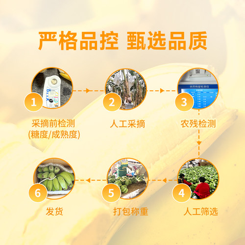 东方甄选苹果蕉香蕉软糯当季新鲜热带水果时令农产品中秋送礼佳品 - 图2